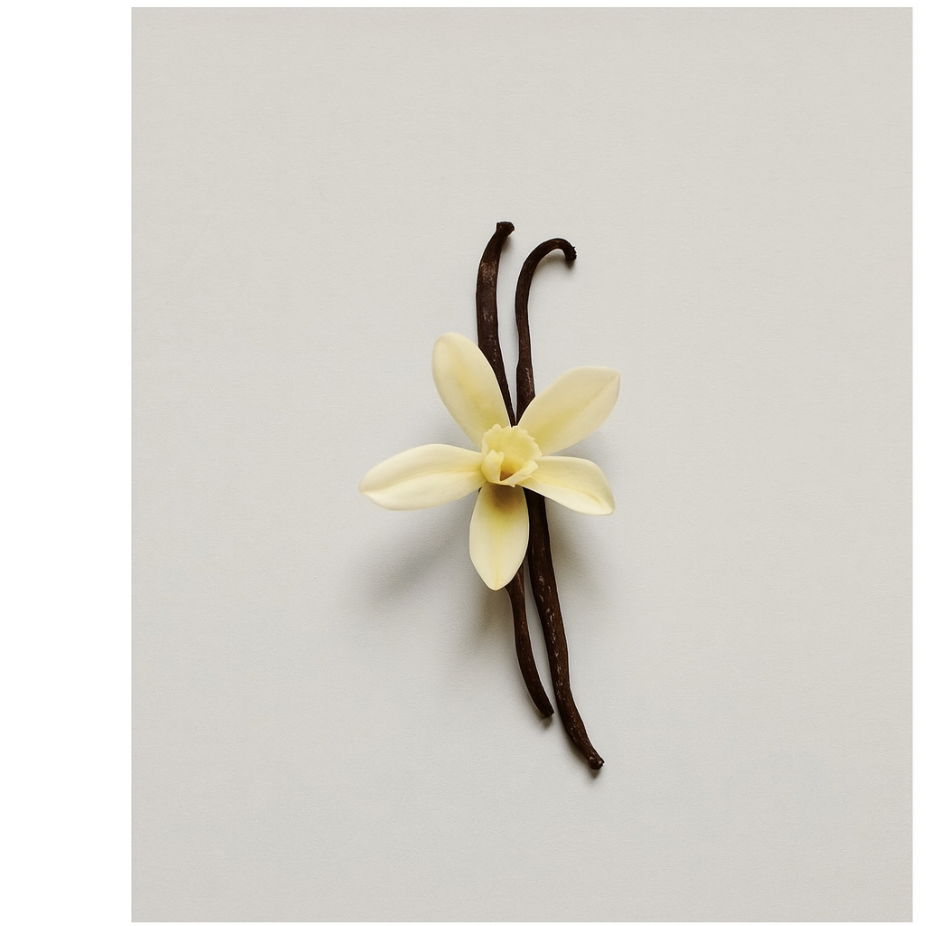 Apothecary Arnica Lip Oil