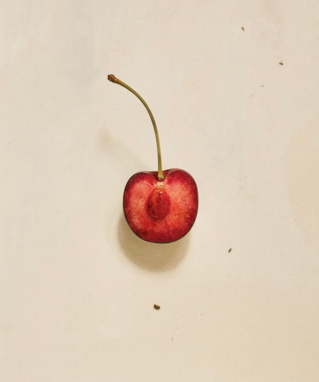 Apothecary Arnica Lip Oil